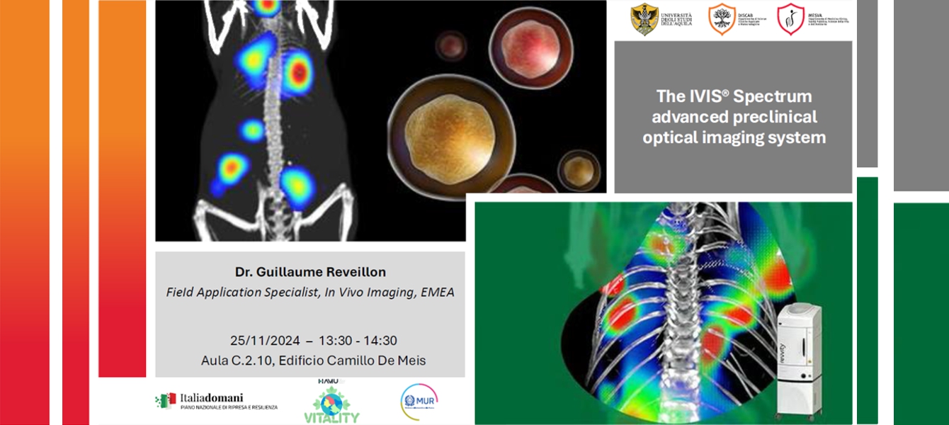 Ivis Spectrum 25 nov 2024